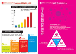 电商代运营企业宣传全案策划